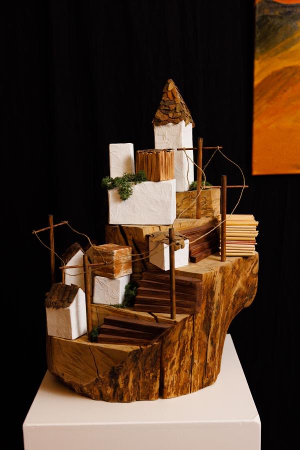 Foto: Bram Saeys; Pius X Eindexamen presentatie optreden, kunstwerken